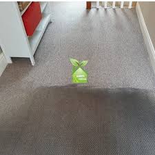 professional carpet cleaning in dublin