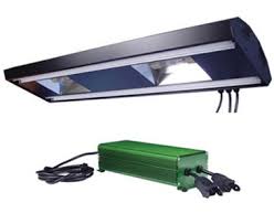 Saltwater To Go 48 Inch Sunlight Supply Maristar High Output Hqi T5 Combo Fixture