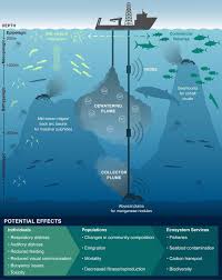 scientists sea floor mining is