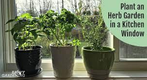 Herb Garden For A Kitchen Window