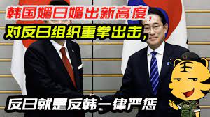 韩国媚日媚出新高度，对反日组织重拳出击，反日就是反韩一律严惩- YouTube