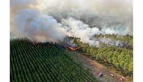 Environnement. Près de 2 800 hectares brûlés, 6 000 personnes évacuées...  le point sur les incendies en Gironde