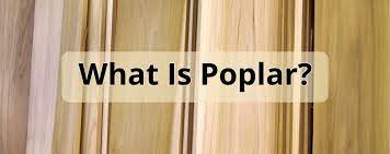 Check spelling or type a new query. Poplar Wood What Is It Builders Surplus