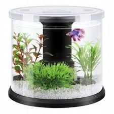 Mini Aquarium Set For Children Fish Tank Home Decor 6l Bing-Bing AquaKids |  eBay gambar png