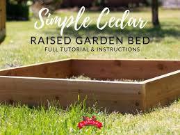 How To Build A Cedar Raised Garden Bed
