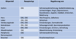 Wealth of organic health products. Cannabidiol Cbd Wirkung Und Indikationen Die Wichtigsten Studien