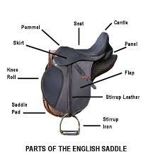 How To Fit An English Saddle The Right Way Horses English