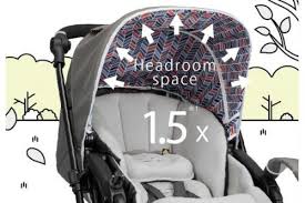 Strollers For Newborn Everything You