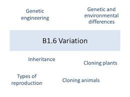 We say that the organism has been genetically modified. Cloning And Genetic Engineering Ppt Download