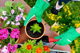 Your Guide To Container Gardening In Nj