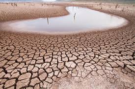 Histórico da seca no Brasil | Portal Memória Paranaense