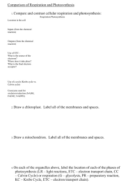 Respiration And Photosynthesis Compare