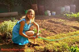 own gardening business