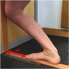 ankle joint dorsiflexion range