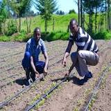 SunCulture Drip Irrigation Kit | Engineering For Change