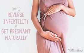 At the first ultrasound, dr. How To Reverse Infertility Get Pregnant Naturally Wellness Mama