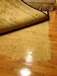pet proof rugs solutions for