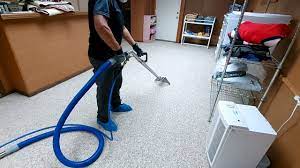 professional carpet cleaning short