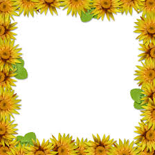 Choose from the best collection of flower backgrounds for your device. Download Flower Frame Overlay By Flower Frame Portrait Hd Png Image With No Background Pngkey Com