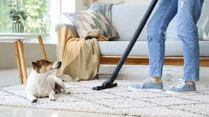 non toxic carpet cleaning diy vs
