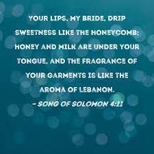 song of solomon 4 11 your lips my