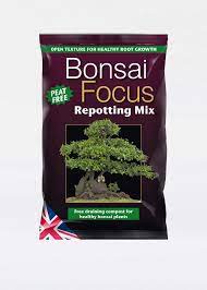 bonsai focus repotting mix growth