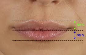 the most attractive lip shape