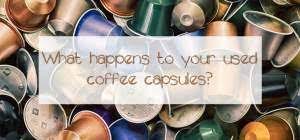 do you recycle your coffee waste do