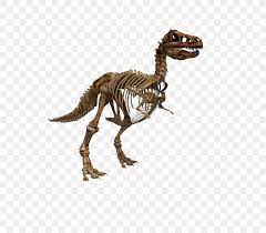 There are websites the place arthur can examine to uncover dinosaur bones dotted throughout the red dead redemption 2 map. Tyrannosaurus Dinosaur Fossil Vector Graphics Stock Xchng Png 720x720px Tyrannosaurus Animal Figure Dinosaur Dinosaur Bones Extinction