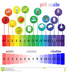 Urine Ph Level Chart What Are The Normal Ph Levels Of Urine