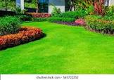 lawn image / تصویر