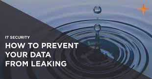 prevent a data leak