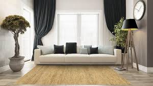 modern jute carpets and rugs for living
