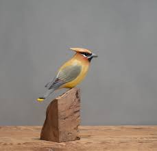 Cedar Waxwing 7h Hand Carved Wooden