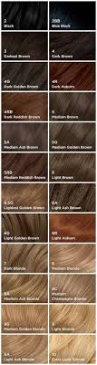 Clairol Nice N Easy Foam Hair Color 3 Darkest Brown 1 Kit