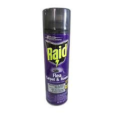raid flea plus carpet and room