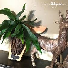 Diy Staghorn Deer Wall Plaque Made By