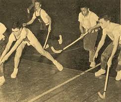 history of floorball from ball hockey