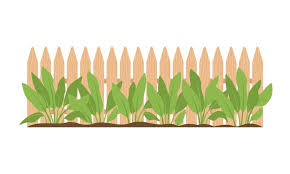 Wooden Fence With Plants Isolated Icon