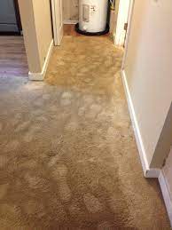 water extraction centurion carpet