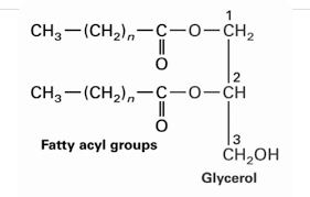 Writing And Balancing Chemical