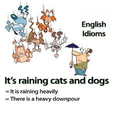 IELTS - Tôi tự học!: [IDIOMS] : " It's raining cats and dogs"