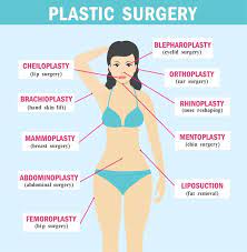plastic surgery subspecialties plastic