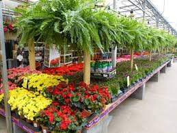 Please arrange to have somebody home to ensure proper delivery. At The Home Depot Bell Nursery