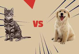 dogs vs cats which one is better