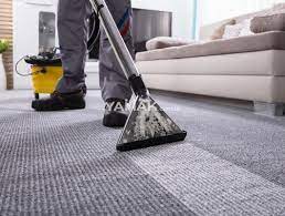 the best carpet steam clean service