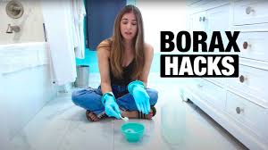 using borax for carpet cleaning