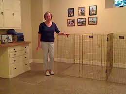 best flooring for indoor dog kennel