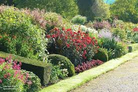 Planning And Preparing A Herbaceous Border