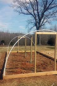 Align the edges flush, drill pilot holes and insert 1 5/8. 10 Of The Best Diy Greenhouses Cold Frames Gardener S Path